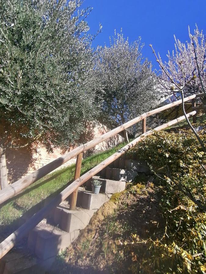 Casa Graziella - la casetta Portacomaro Esterno foto